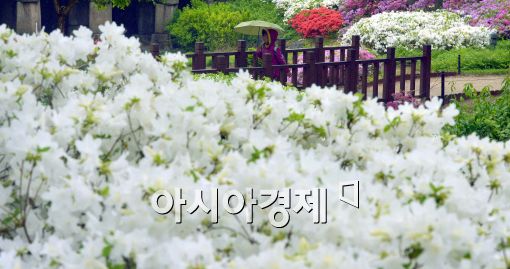 [포토]비 내리는 서울....우산을 쓴 시민들