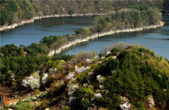 고리산 성인봉 중턱에서 바라본 부소담악이 봄꽃과 연초록 새순에 잠겨 자태가 도드라진다. 