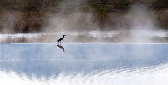 물안개 피는 보청천의 새벽
