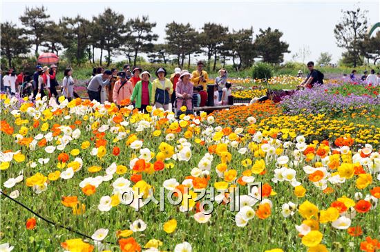 [포토]양귀비꽃 만개한 함평나비축제장 관광객 북적