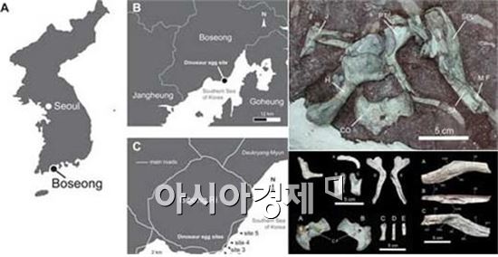 한반도 최초 "거대 도마뱀 화석" 발견 학계 큰 관심