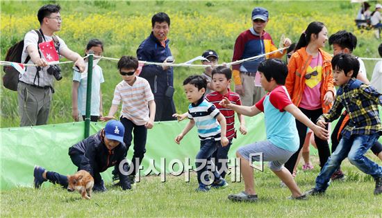 제17회 함평나비대축제가 한창인 5일 축제장을 찾은 어린이들이  새끼 멧돼지를 쫓아다니며 즐거워하고 있다.