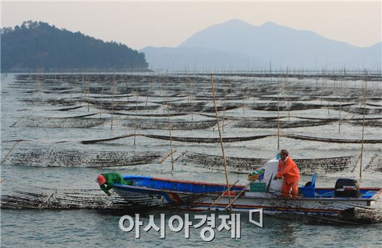 장흥군(군수 김성)은 국립해양수산과학원이 주관하는 '2015년 도시민 어촌유치 지원사업’에 최종 선정되었다.