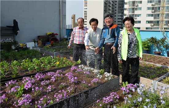 경로당 옥상텃밭 