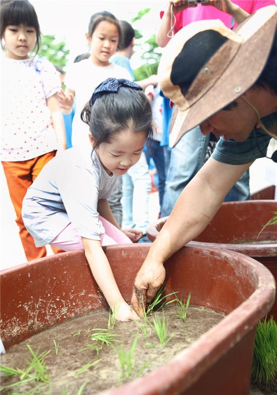 대영초등학교 모내기 