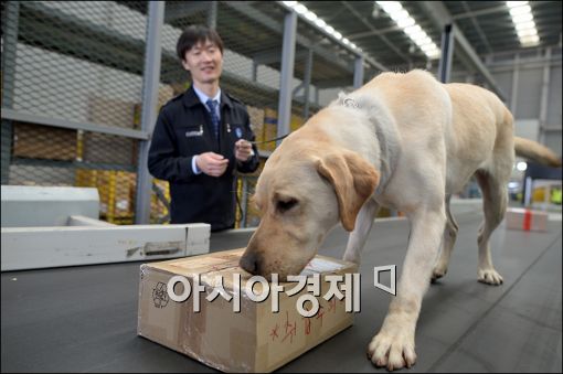 마약류 재범률, 필로폰 높고 아편·대마 낮아