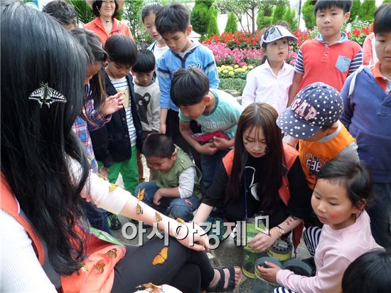 어른 아이 모두 즐기는 ‘함평나비축제’