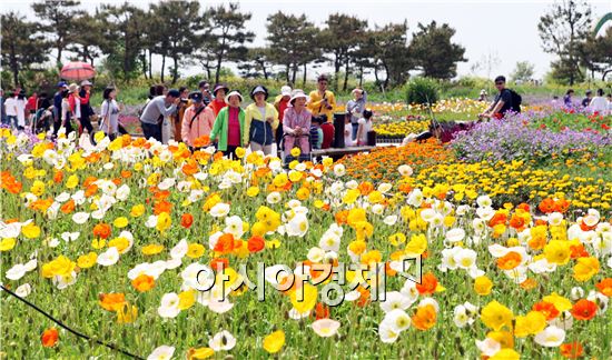 [포토]화사한 꽃과 나비가 반기는 함평나비축제