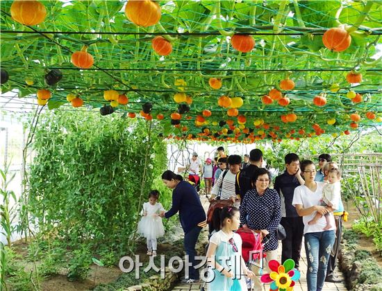 [포토]와~함평나비축제 호박터널이다