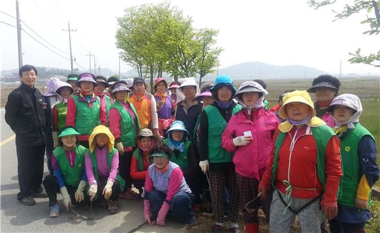 <무안군 일로읍 새마을회 회원들이 무안연꽃축제를 앞두고 주요 도로변의 풀베기작업을 벌였다.>