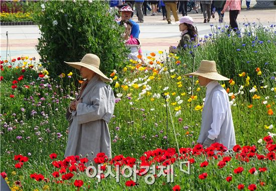 [포토]함평나비축제장에서 힐링하고 있는 스님