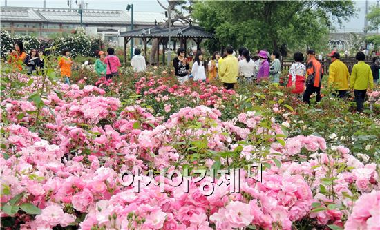 곡성 섬진강기차마을, 수천만송이 장미향기로 관광객 발길 유혹
