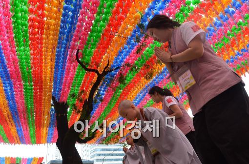 [포토]연등 아래 합장하는 동자승