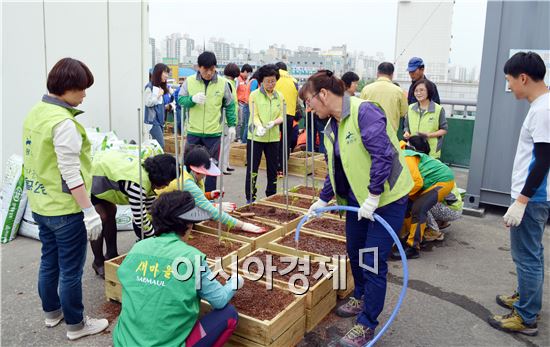 광주시 광산구 월곡2동 주민들, 주민센터 옥상에 희망텃밭 개장