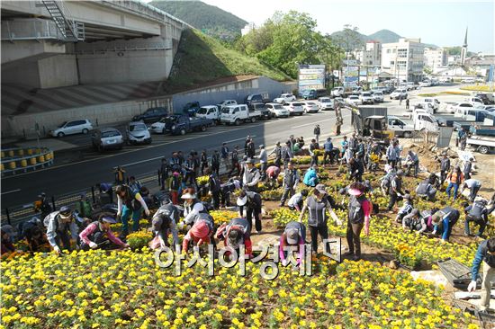 [포토]장성은 ‘옐로우시티(Yellow-City)’로 변모 중
