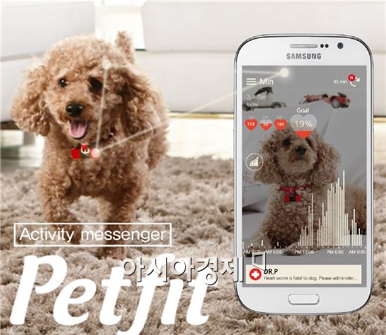 SK텔레콤이 지난 4월 출시한 애완동물용 앱세서리 '펫핏'(사진:SK텔레콤)