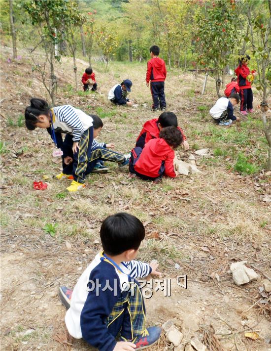 함평군 자연생태공원서 ‘유아 숲 체험학습’운영