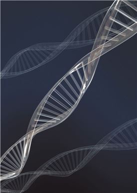 노화 결정짓는 DNA 텔로미어, 노화 막을 수 있는 방법은?