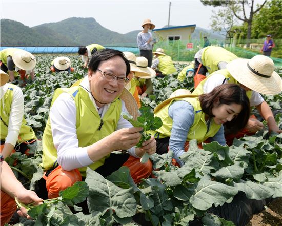 김용환 NH농협금융지주 회장(왼쪽 첫번째)과 임직원들이 강원 홍천 왕대추마을에서 영농철 농촌 일손돕기를 하고 있다.
