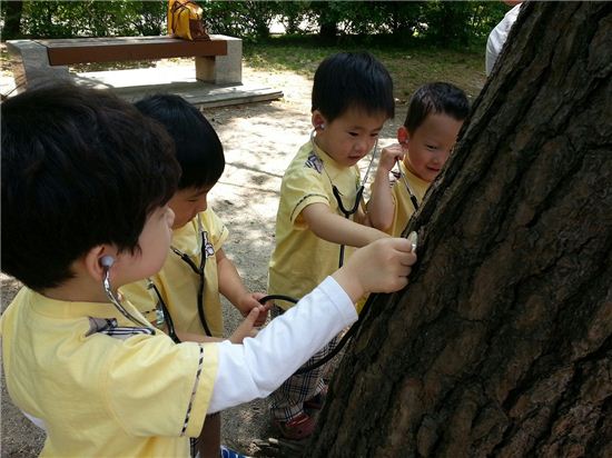 노원 어린이집 2450여명 태릉서 왕의 숲 체험