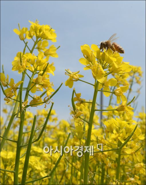 [포토]꿀 같은 만남