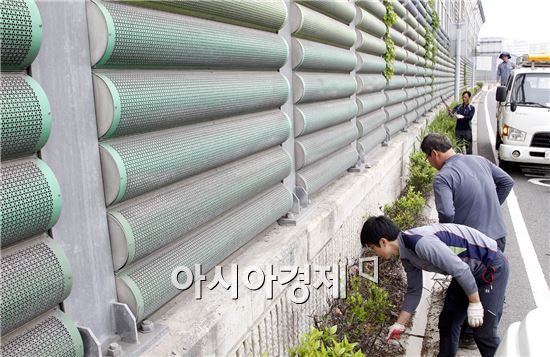 [포토]광주시 북구, 광주U대회 맞이 도심 화단 정비