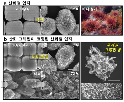 성게 닮은 그래핀 공…슈퍼커패시터 앞당긴다