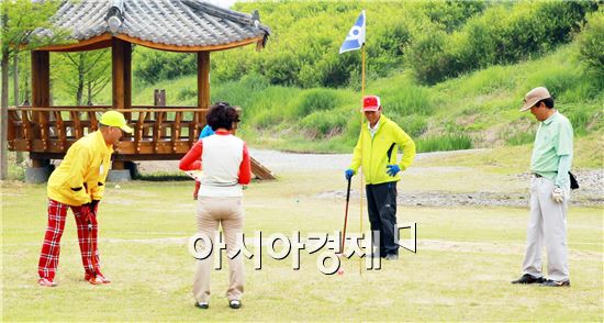<제6회 함평천지배 전국파크골프대회가 함평읍 함평엑스포공원 함평파크골프장에서 개최했다.>

