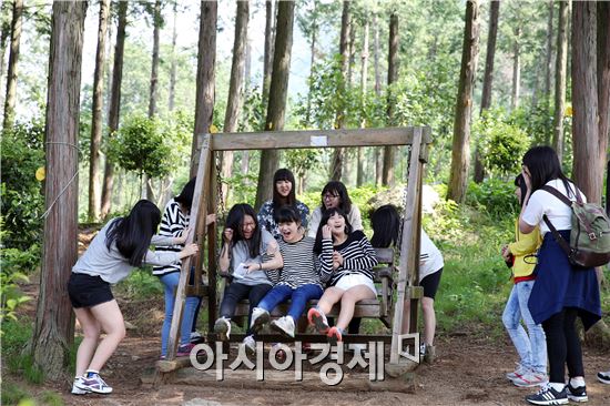 [포토]편백숲에서 힐링 공부해요