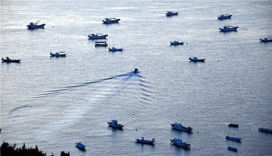 왜목 앞바다에 정박해 있는 어선들 사이로 한 배가 출항하고 있다.