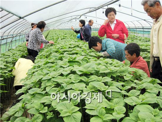 곡성군, 귀농·귀촌 전원생활 현장체험교육 실시