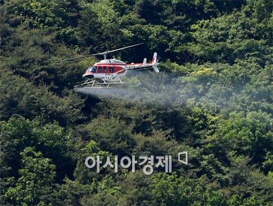 순천시, 소나무재선충병 항공방제 실시