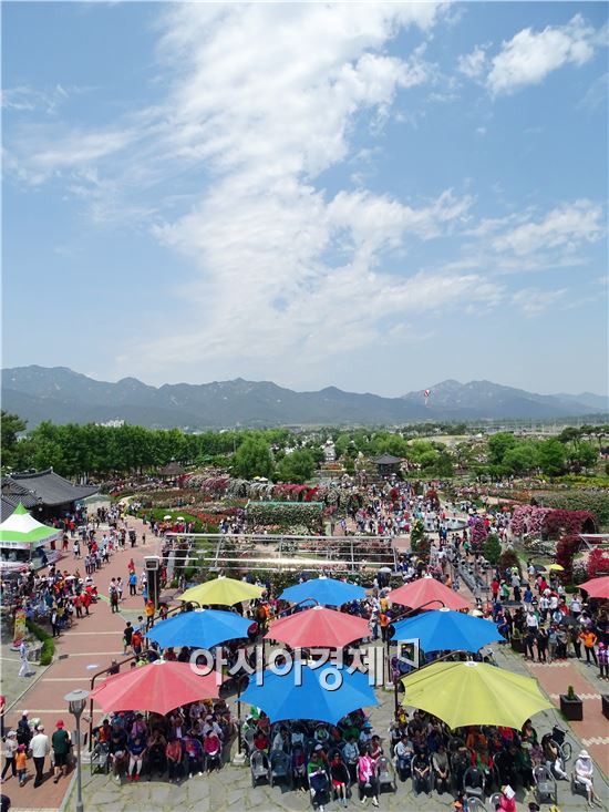 [포토]초가을 연상케하는 곡성장미공원