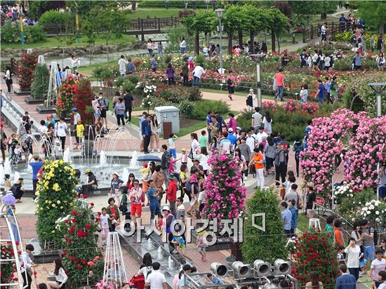 [포토]곡성장미축제장 관광객 발길이어져