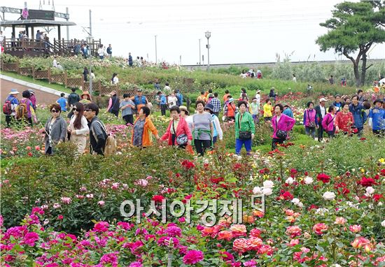 곡성세계장미축제 ~"장미꽃 반, 사람 반" 인산인해