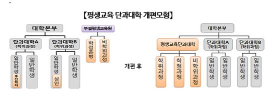 '평생교육 단과대' 신설·학점당 등록금 납부 가능해진다