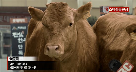 마트도 바이럴 마케팅 시대…롯데마트, 축산물 ‘진심 한우’ 동영상 공개