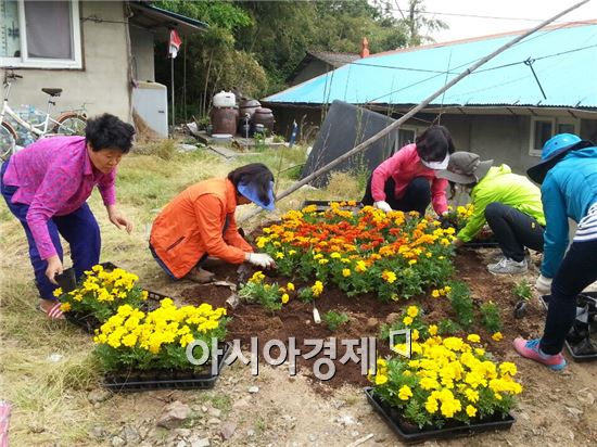 장성군 공직자 “노란 희망의 꽃을 심어요”