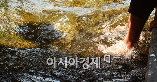 [포토]도심 속 파라다이스 