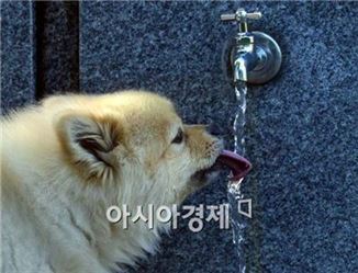 폭우 지나니 폭염…경기도 11개 시 폭염주의보