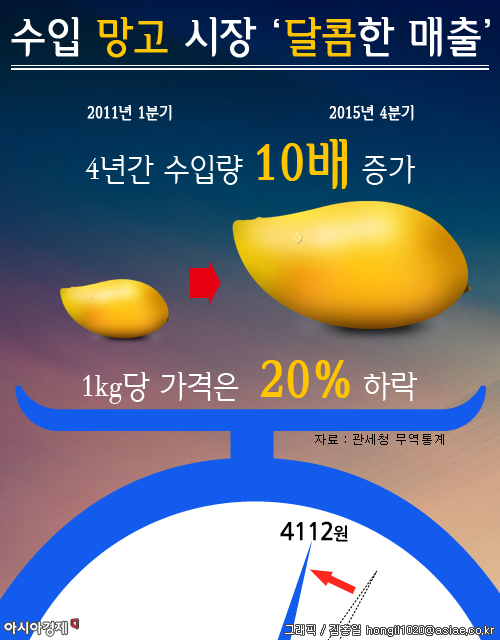 비싼 망고? 저렴해진 가격에 대세 과일로 우뚝