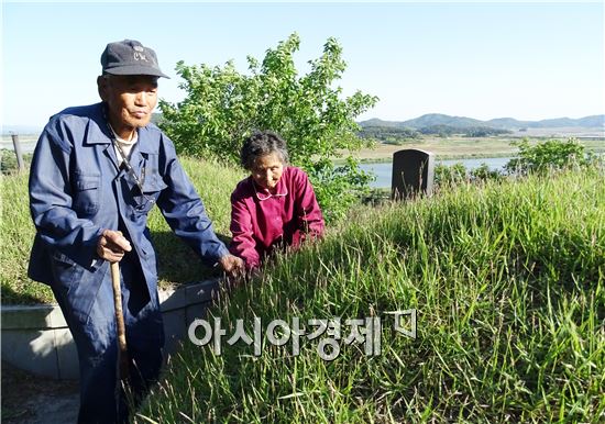 전라남도 함평군 학교면 대곡마을 산기슭에서 부모님, 할아버지 할머니 증조부까지 3대의 선조를  모시고 26년째 시묘살이를 하고 있는 김후덕(95)·심정숙(83)씨부부가 부모님 산소에서 매일 잡초를 제거하고있다. 노해섭 기자 nogary@
