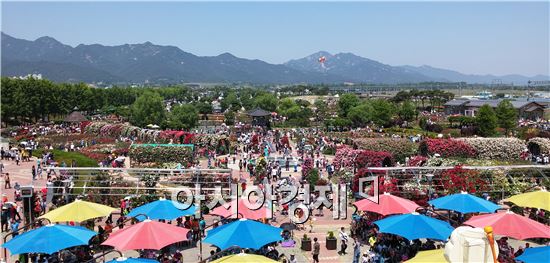 지난 5월 22일부터 31일까지 열흘간 곡성 섬진강기차마을에서 열린 ‘제5회 곡성세계장미축제’가 역대 최고의 흥행을 기록하면서 그 막을 내렸다.