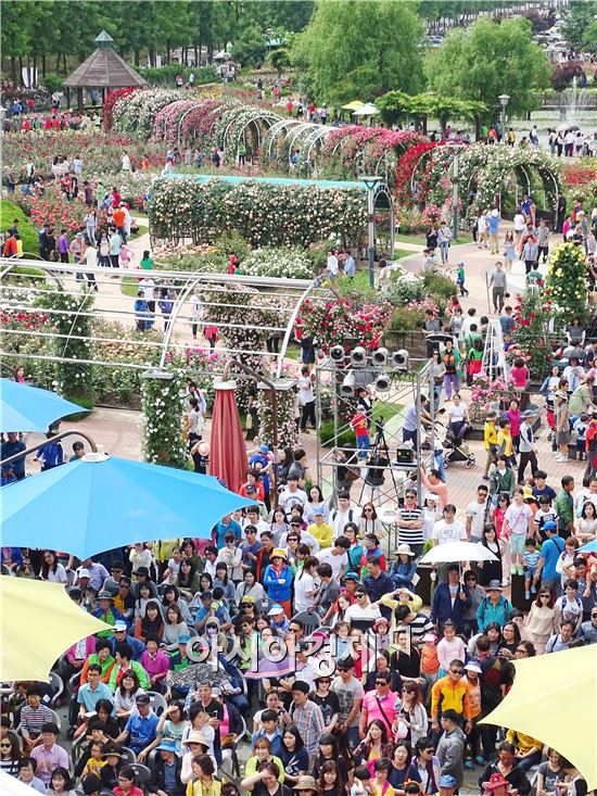 지난 5월 22일부터 31일까지 열흘간 곡성 섬진강기차마을에서 열린 ‘제5회 곡성세계장미축제’가 역대 최고의 흥행을 기록하면서 그 막을 내렸다.