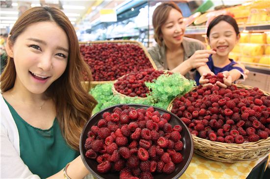 [포토]이마트, 초여름 별미 '햇 산딸기' 판매