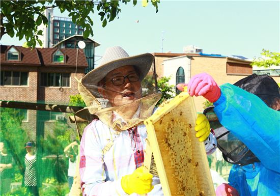 유종필 관악구청장이 3일 꿀을 채밀하고 있다.