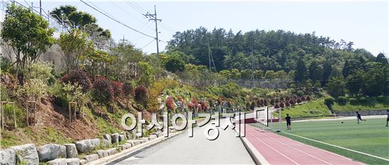 '숲속의 전남’사계절 아름다운 완도중학교 학교숲 조성