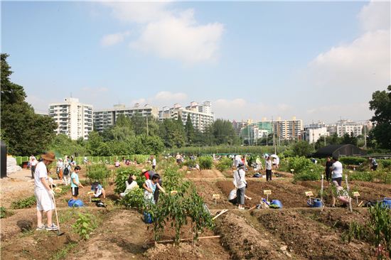 강동구 도시농업 프로젝트 국제환경상 수상