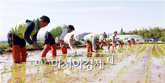 해남군, 청렴쌀·고구마 청렴 아이디어  ‘눈길’