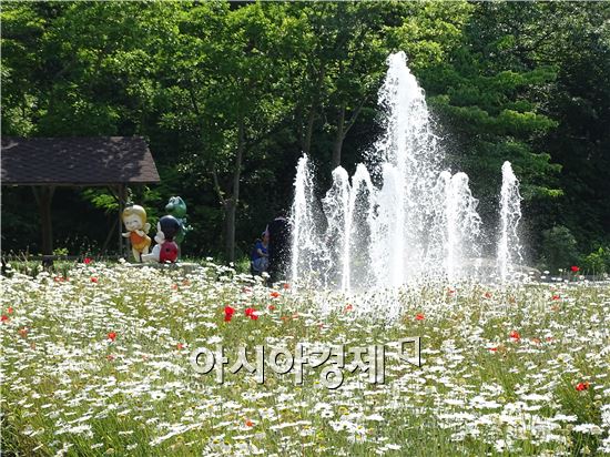 초여름 날씨가 이어진 가운데 8일 전남 함평 자연생태공원에 데이지꽃이 만개하면서 환상적인 모습을 연출하자 관광객들의 발길이 이어지고 있다.